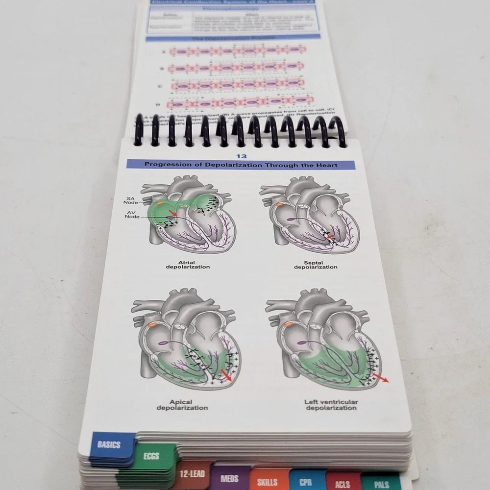 Shirley A Jones ECG Notes Interpretation and Management Guide Spiral 2nd Ed Ex